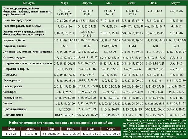 Посевной календарь на 2024 год дачный участок