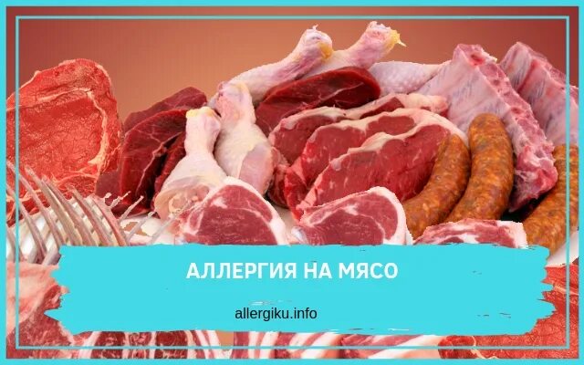 Аллергия на мясо говядины.