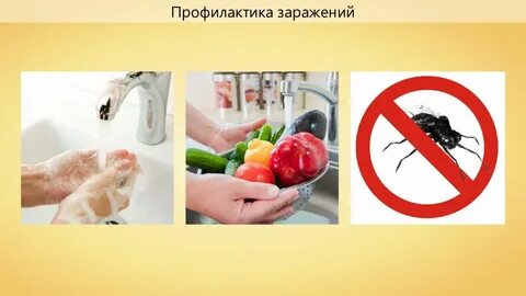 Заражение червями паразитами