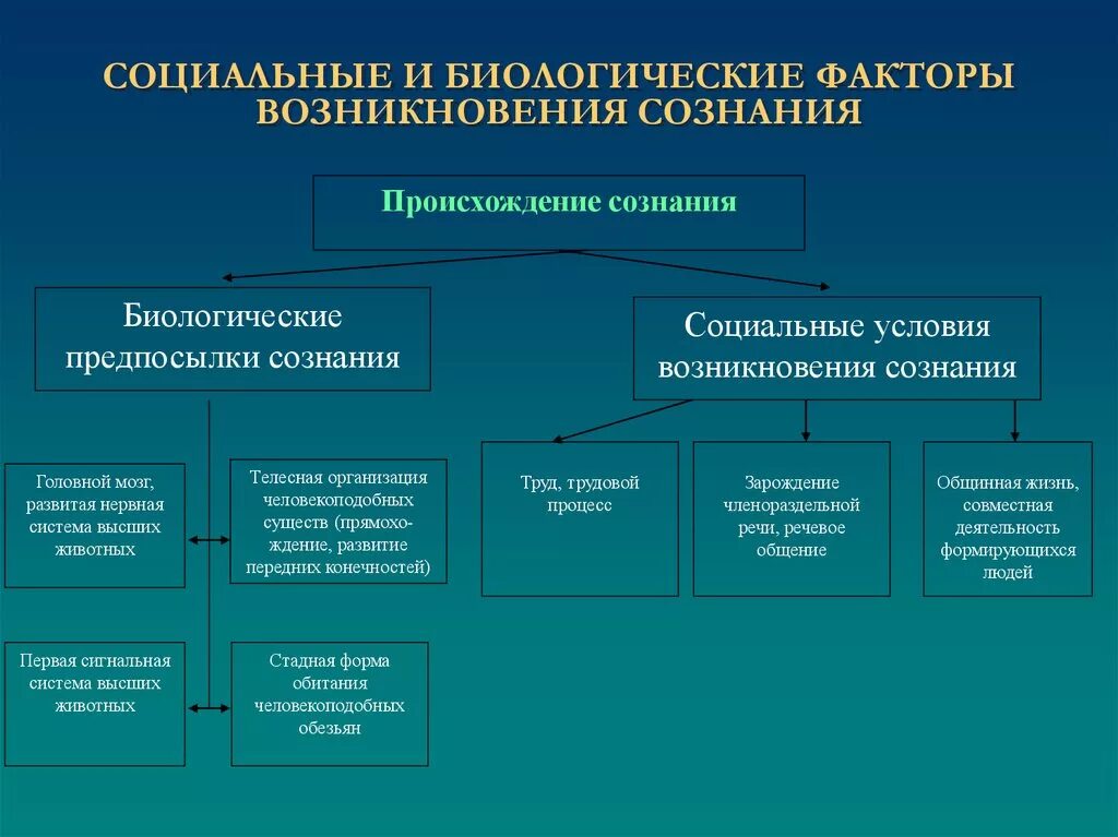 Социальным факторам можно отнести. Факторы развития сознания. Предпосылки формирования сознания. Биологические и социальные предпосылки возникновения сознания. Биологические предпосылки происхождения сознания.