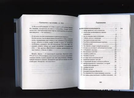 Голубая книга содержание