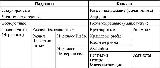 Представители каких классов позвоночных животных крупные яйцеклетки. Типы яйцеклеток у хордовых и позвоночных таблица. Таблица 3. типы яйцеклеток у хордовых и позвоночных. Сравнительная характеристика бесчерепных и черепных. Характеристика бесчерепных и позвоночных.