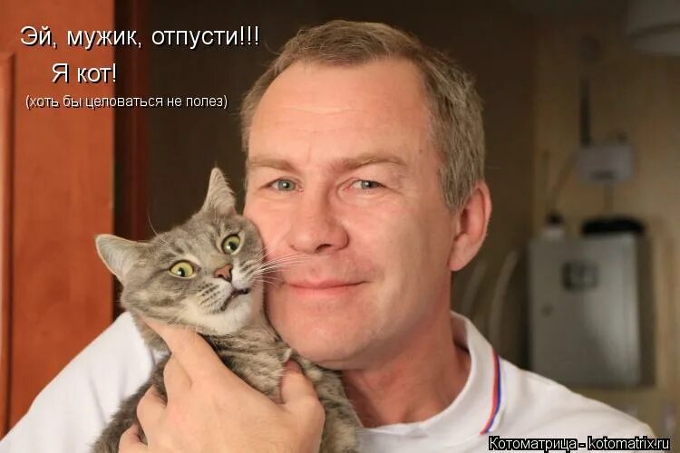 коты массаж. фото приколы смешные до слез очень. я бык мем с котом. кот мужик видео. кот мужик видео.