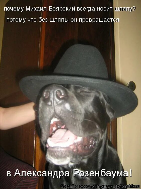 Михаил боярский 2022. Боярский лысый. Михаил боярский без шляпы 2020. Михаил боярский сейчас. Почему боярский всегда в шляпе.