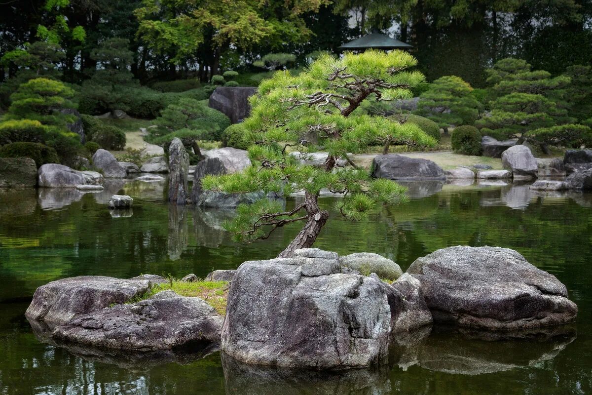 Японский пруд. Японские сады Мориками. Водоемы в Японии. Японский водоем. Японский прудик.