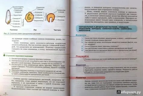 Аудио параграф 6 класс
