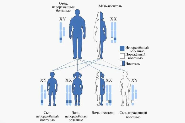 Болезни от матери сыну