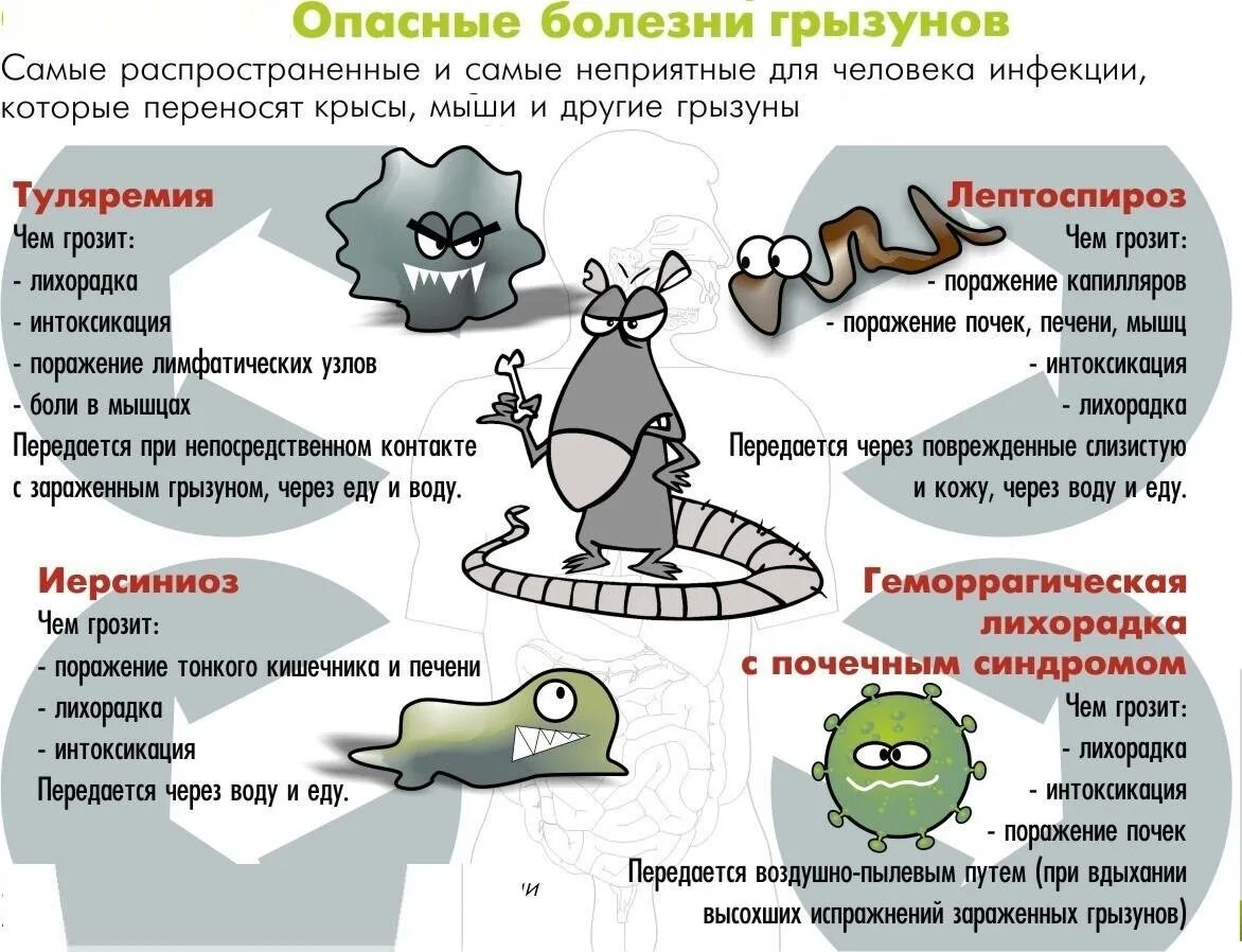 Отравление мышиным