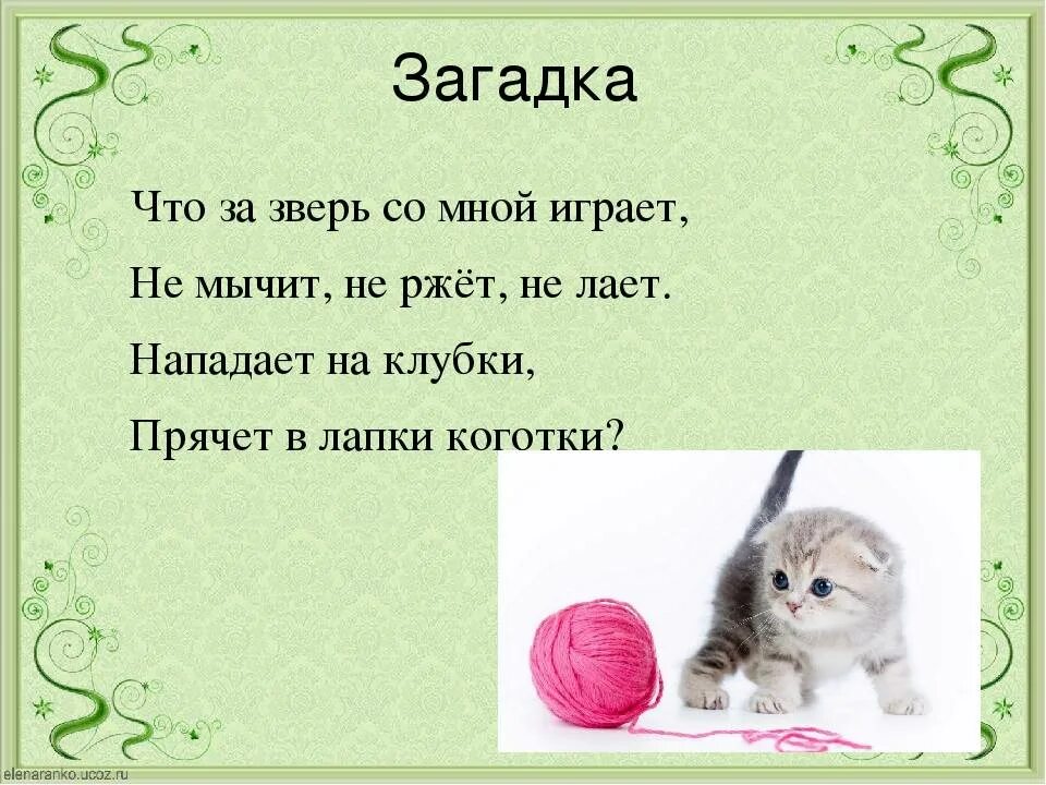 Загадки про кошку для класса. Загадка про котенка. Загадка про кота. Загадки о котах. Загадка про кошку для детей.