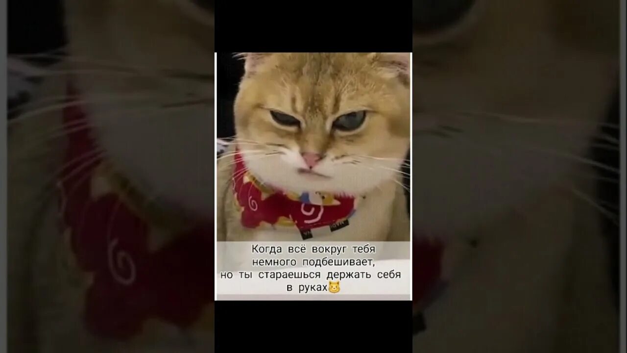 Держись немного осталось. Держись немного осталось