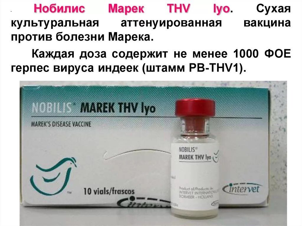 Прививка против болезни. Болезнь Марека вакцины. АВИВАК Марека вакцина. Вакцины для птиц против болезни Марека. Вакцина от Марека для цыплят.