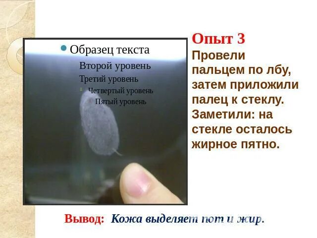 Следы на стеклокерамической плите. Маленький скол на лобовом стекле. Пузыри под тонировкой заднее стекло. Пятно птичий помет. Царапины на стекле.