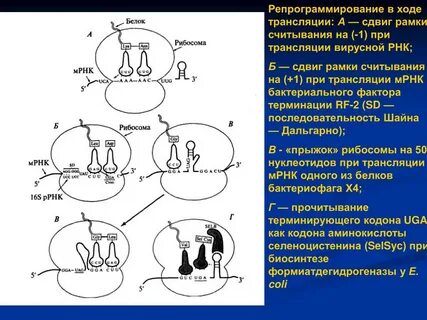Участок мрнк способный