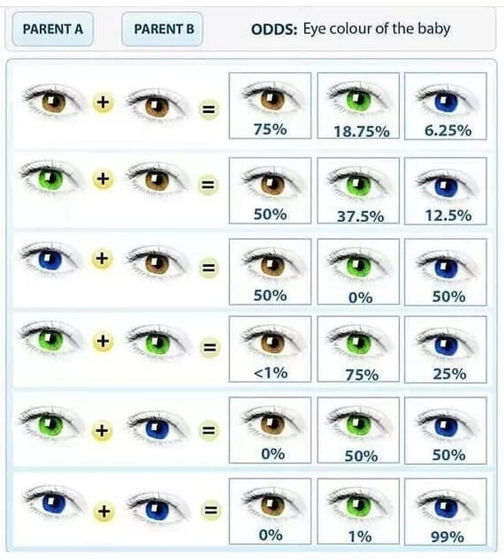 До скольки меняются глаза. Таблица наследования цвета глаз. У отца глаза зеленые у мамы карие какие будут у ребенка таблица. Если у мамы и папы карие глаза какие будут у ребенка таблица. Цвет глаз родителей и детей таблица.
