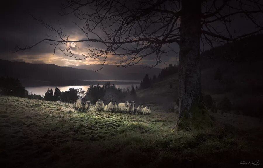 Пастухи ав рождественскую ночь. Волхвы и вифлеемская звезда. Пастух овцы древний израиль. Звезда вифлеема пастухи. Костер в горах ночью.