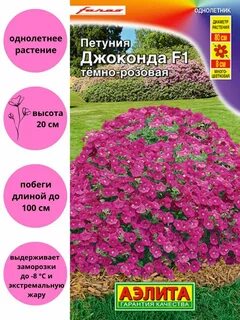 Ампельная джоконда
