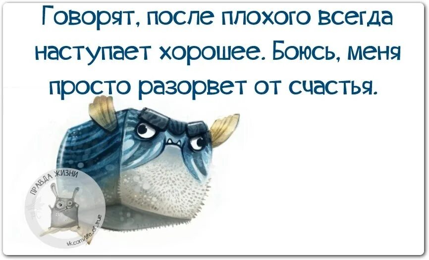 Почему бывший всегда плохой. Статусы про плохое настроение. статус про испорченное настроение. статус про плохой день. плохие статусы.