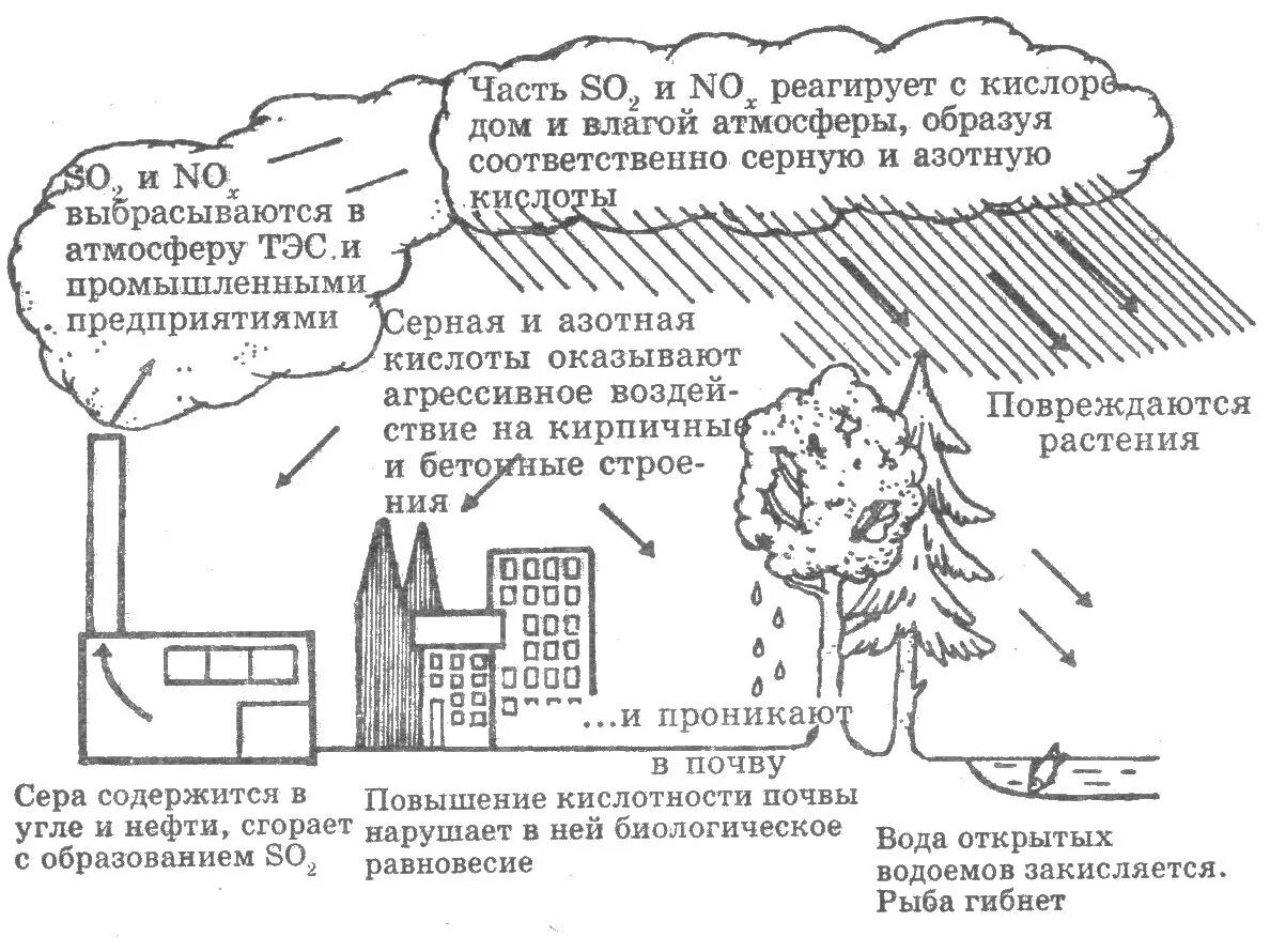 Сообщение на тему влияние осадков на природу. Кислотные дожди источники загрязнения. загрязнение окружающей среды кислотные дожди. химические превращения загрязняющих кислотных веществ в атмосфере. кислотные осадки влияние на окружающую среду.