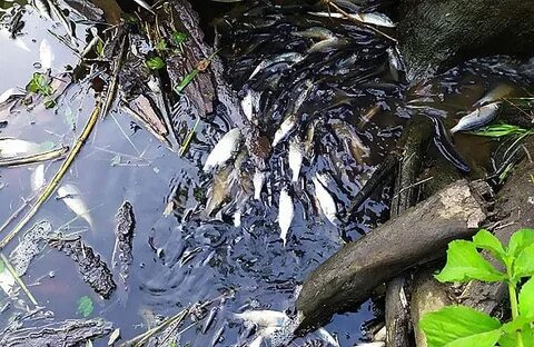 200 водоемов