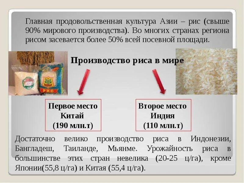 Рис главные страны. Главная продовольственная культура стран Азии. Рис Главная продовольственная культура. Продовольственные культуры. Основные продовольственные культуры в странах.