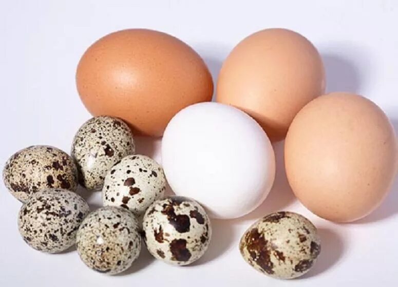 Куриные и перепелиные яйца. Перепелиное яйцо и куриное яйцо. Яйцо перепелиное домашнее. Куриные перепелиные. Куриные и перепелиные яйца.