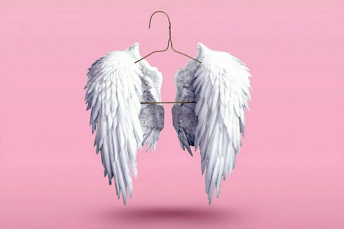 Could it wings