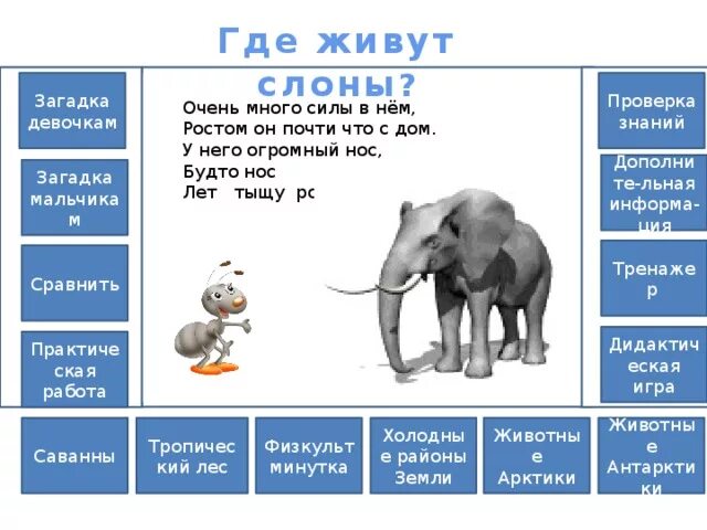 Слон для презентации. Слон 1 класс окружающий мир. Где живут слоны задания для 1 класса. Где живут слоны. Где обитает слон материк