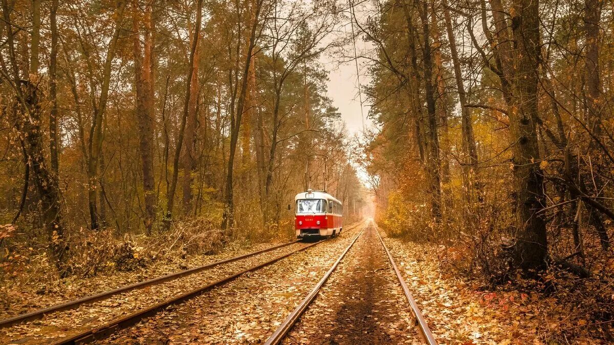 Pin by Sami Salvail on z...autumn in 2019 Train, Train rides, Train travel