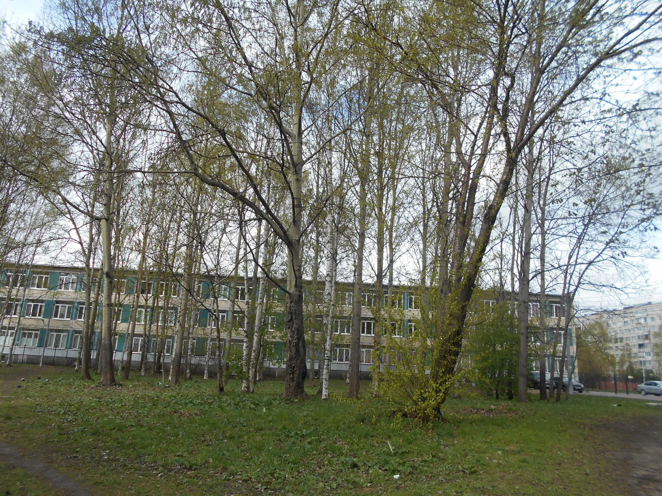 Логотип школы 34. Школе 34 спб. Школе 34 спб. Школа 34 внутри. Школе 34 спб.