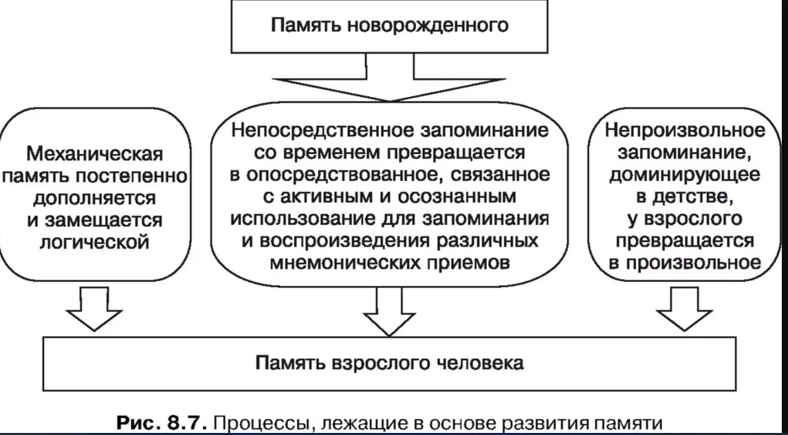 Этапы формирования памяти. Формирование памяти в психологии. Этапы формирвоани япамтяи. Развитие памяти в онтогенезе. Развитие памяти этапы