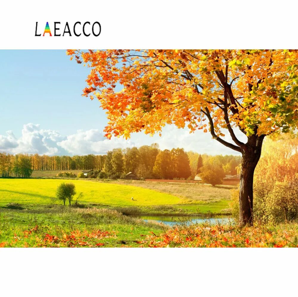 4 октября календарь. лист календаря. кондрат да ипат 4 октября. кондрат да ипат 4 октября. 4 октября календарь.