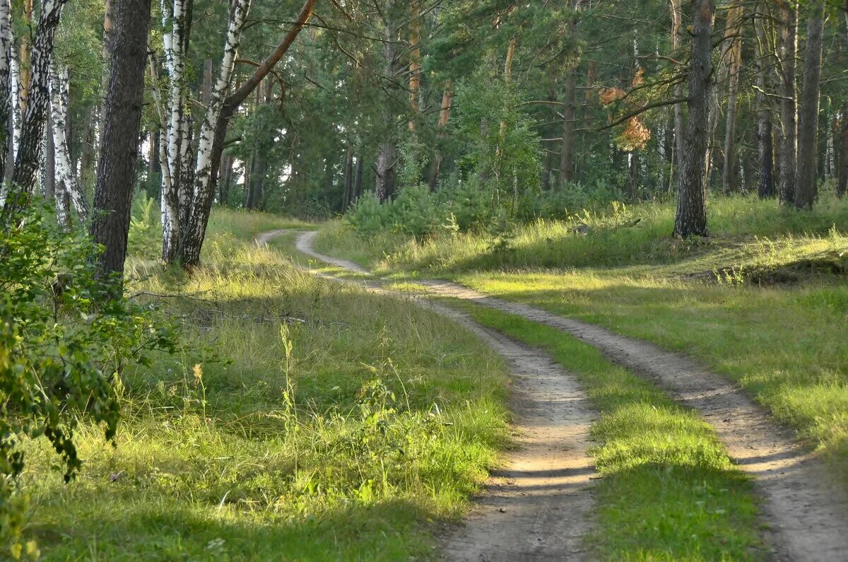 Https m d a ru. Путь тропинка. Шахматный путь тропинка. Троицкий тропа и путь. Звёздная тропа дорога домой.