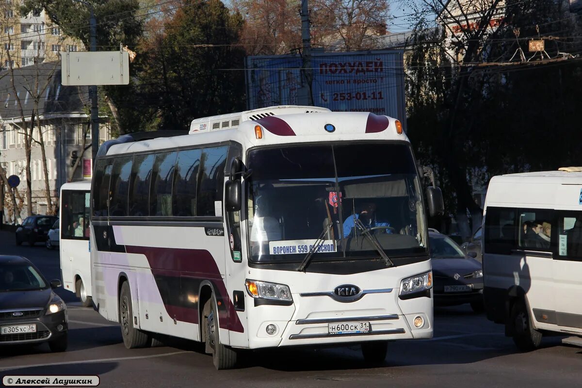 Автобус старый Оскол. Автобус старый Оскол Москва. Автобус Воронеж. Автобус старый Оскол Воронеж.