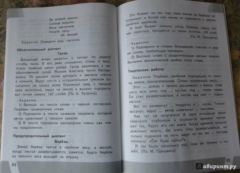 Гроза диктант по русскому. Контрольный диктант по русскому языку гроза. Диктант для второго класса гроза. Гроза диктант 2. Диктант по впр русский язык четвертый класс