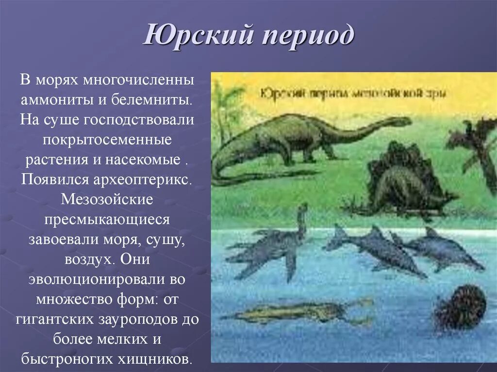 Юрский период мезозойской эры. Мезозой Юрский период таблица. Юрский период мезозойской эры таблица. Мезозойская Эра Юрский период растения. Появление пресмыкающихся эра