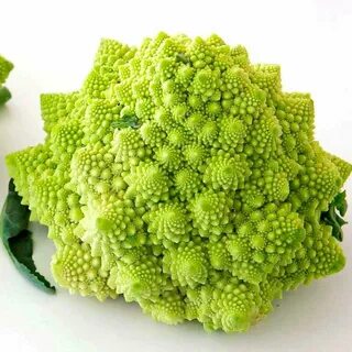Капустоыель