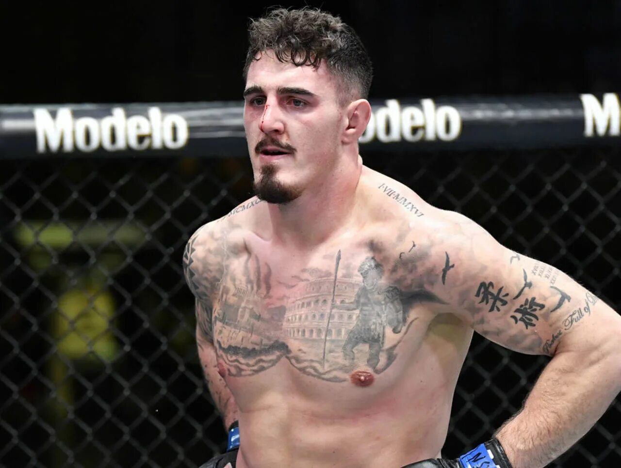 Том аспинэлл юфс. Аспинал. Том аспиналл чемпион ufc. Аспинал. Аспинал.