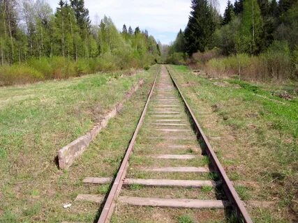 Кабожа новгородская область