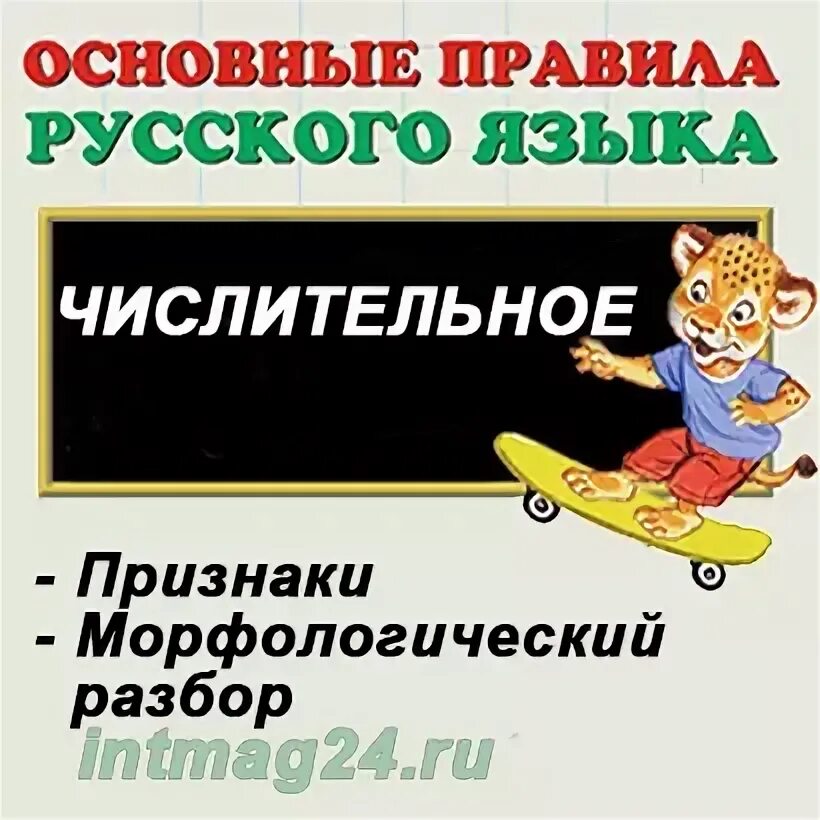 Морфологический разбор числительного два брата. Морфологический разбор числительного два брата