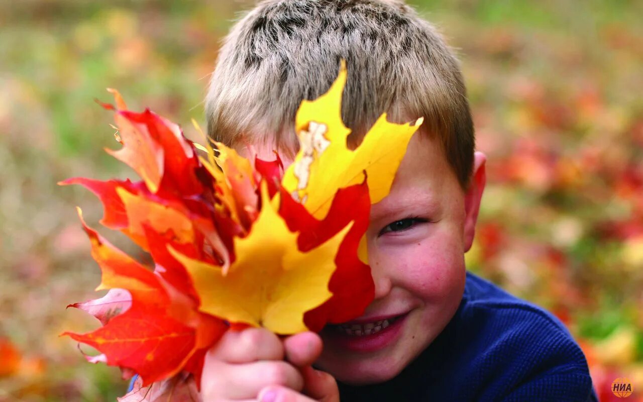 Кленовый лист для детей. Мальчик с кленовым листом. Мальчик в осенних листьях. Кленовый лист осенью для детей.