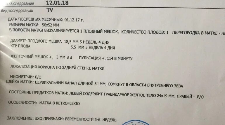 Матка 6 7 недель. 6 Акушерских недель беременности на УЗИ. УЗИ на 7 акушерской неделе беременности. Показатели УЗИ В 7 недель беременности. Показатели УЗИ на 6 неделе беременности норма.