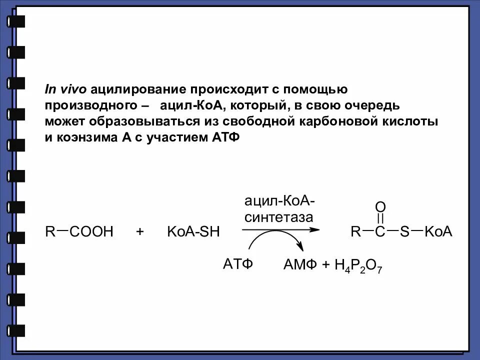 Реакция ацилирования. Скорость реакции ацилирования. Ацилирование карбоновых кислот. Реакции ацилирования карбоновых кислот. Углеродная группа 5