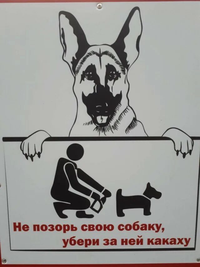 Убери 2 звук