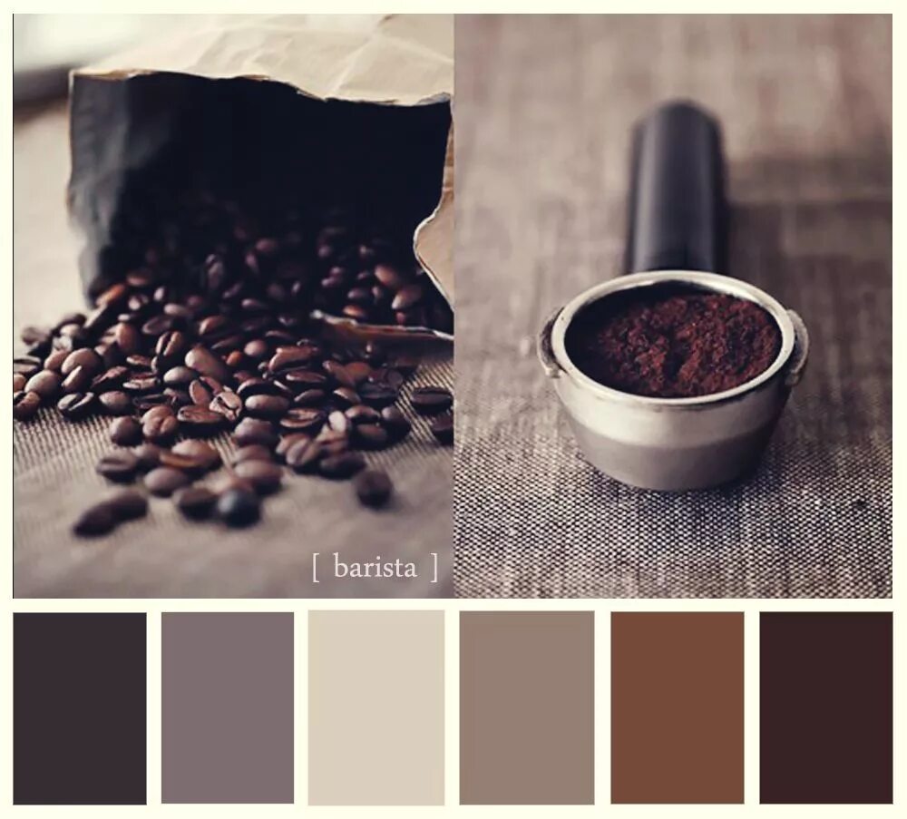 Сочетание с кофейным. Кофейный цвет. Сочетание кофейных оттенков. Кофейная палитра цветов.