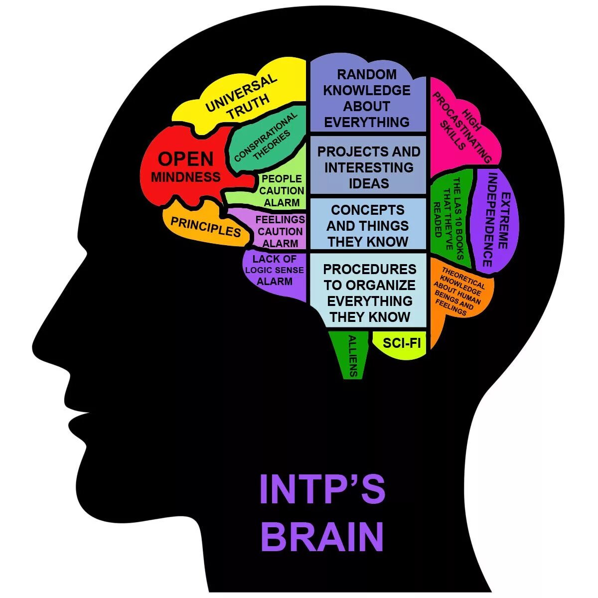 Me and my brain. Тип личности ученый INTP-A. Типы личности MBTI учёные. INTP Тип личности. МБТИ INTP.