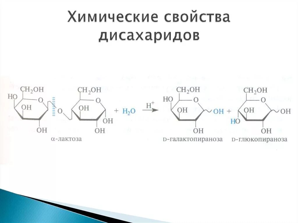 Химические свойства лактозы. Реакция окисления мальтозы. Метанолиз дисахаридов. Лактоза химические свойства химические. Химические свойства дисахаридов реакции.