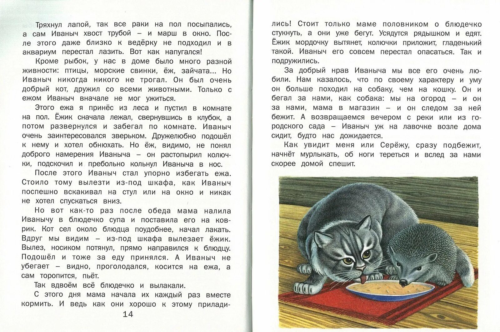 Рассказ скребицкого кот иваныч. Рассказ кот иваныч. г скребицкий кот иваныч. рассказы. г а скребицкий кот иванович.