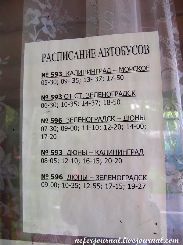 587 балтийск. Автобус Светлогорск Янтарный 587. Автобус Зеленоградск Янтарный 587. Расписание 587 автобуса Балтийск Светлогорск. Расписание 587 автобуса Балтийск.
