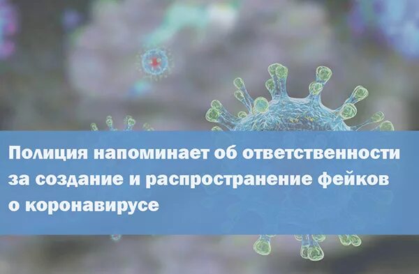 Распространение фейков. Ответственность за распространение коронавируса в россии. ложные факты о коронавирусе. ложная информация по коронавирусу. ответственность за заражение коронавирусом.