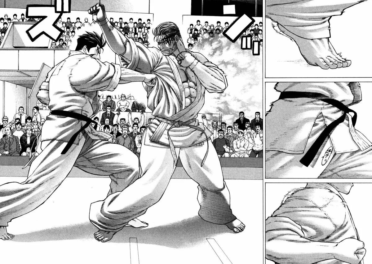 Манга про единоборства. Манхва про боевые искусства. Царство боевых искусств маньхуа. Манга школа боевые искусства. Боевая манга.